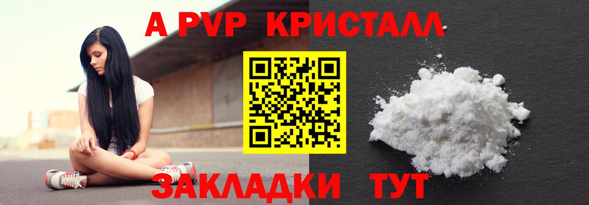 A PVP СК КРИС Шадринск