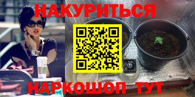 прущие грибы Бугуруслан