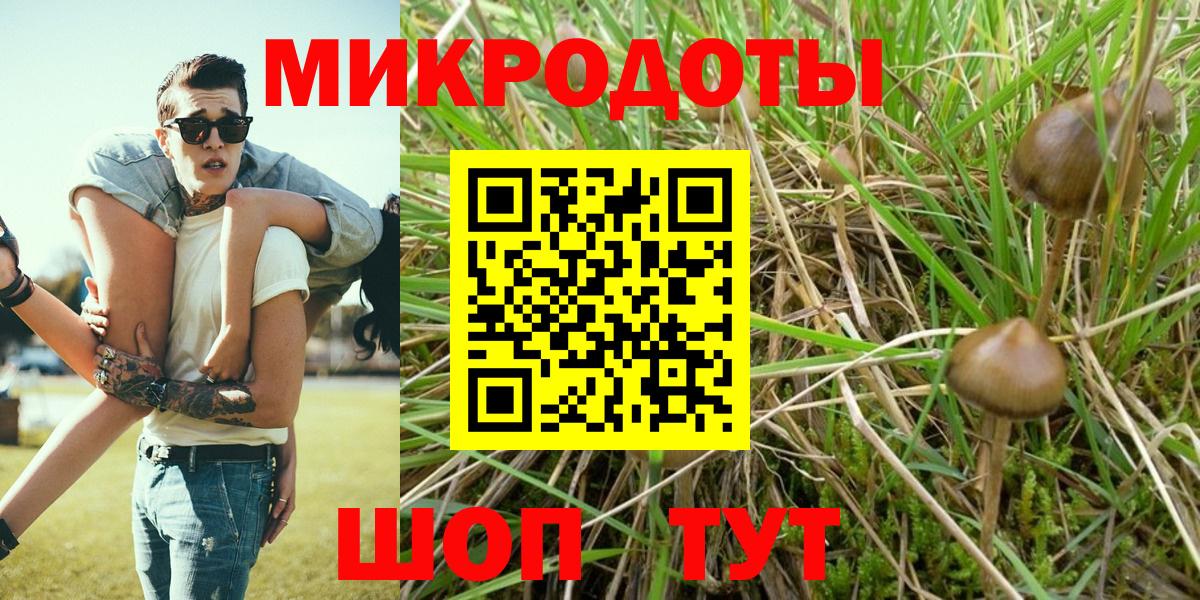 Псилоцибиновые грибы мухоморы Шадринск