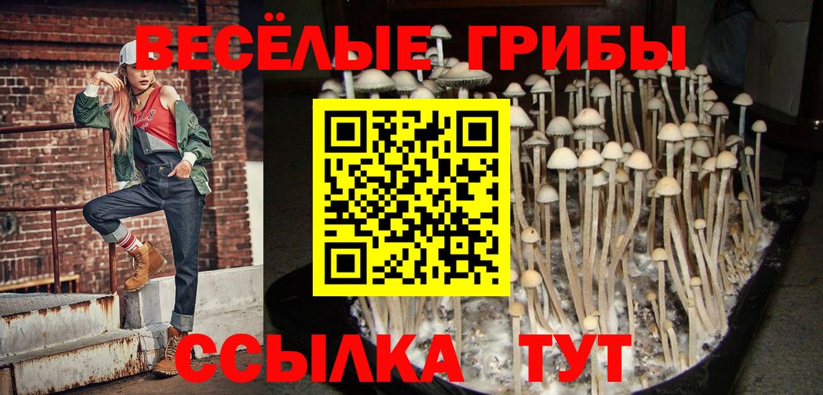 Псилоцибиновые грибы GOLDEN TEACHER  Вход с VPN  Галлюциногенные грибы мухоморы  Шадринск 